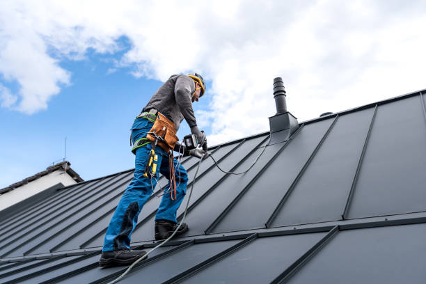 Best Gutter Installation and Repair  in Francisville, KY